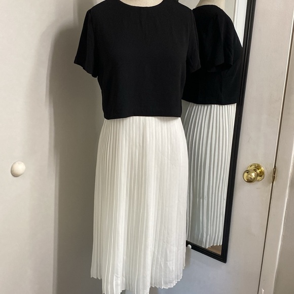 Alison Andrew’s for Anthro Dress drop waist accordion fold Pleated lined skirt - Picture 4 of 12